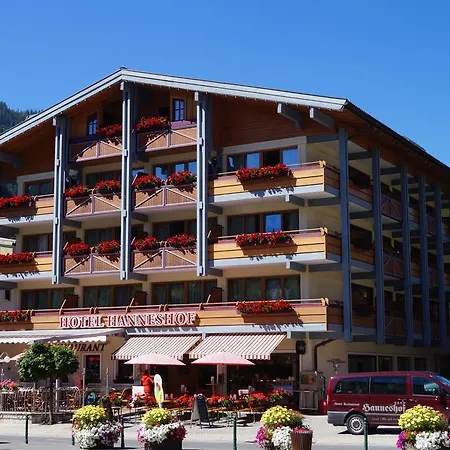 Vital - Und Wellnesshotel Hanneshof Filzmoos