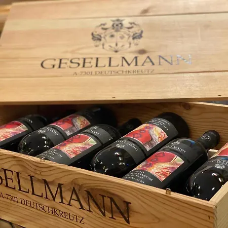 Szálloda Vital - Und Wellnesshotel Hanneshof 4*