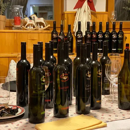 Vital - Und Wellnesshotel Hanneshof Hotel Filzmoos