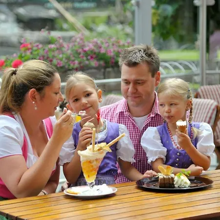 Hotell Vital - Und Wellnesshotel Hanneshof Filzmoos